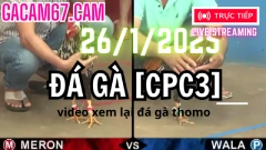 Đá Gà Trực Tiếp thomo CPC3 ngày 26-1-2025 video xem lại hôm nay