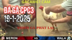 Video xem lại Đá Gà Trực Tiếp tại đấu trường thomo ở campuchia [CPC3] ngày 19-1-2025