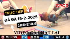 DAGATRUCTIEP-VIDEO TỔNG HỘP ĐÁ GÀ TRỰC TIẾP CPC3 HÔM NAY 15-2