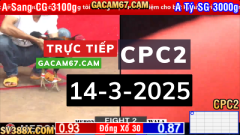 Đá gà trực tiếp với bình luận viên ngày 10/3 tại bồ gà CPC1 (Casino 67) hứa hẹn mang đến những trận đấu gà tre đầy kịch tính và hấp dẫn. Các trận đấu tại CPC1 thường bắt đầu từ 11h trưa và kéo dài đến khi kết thúc toàn bộ các trận trong ngày.